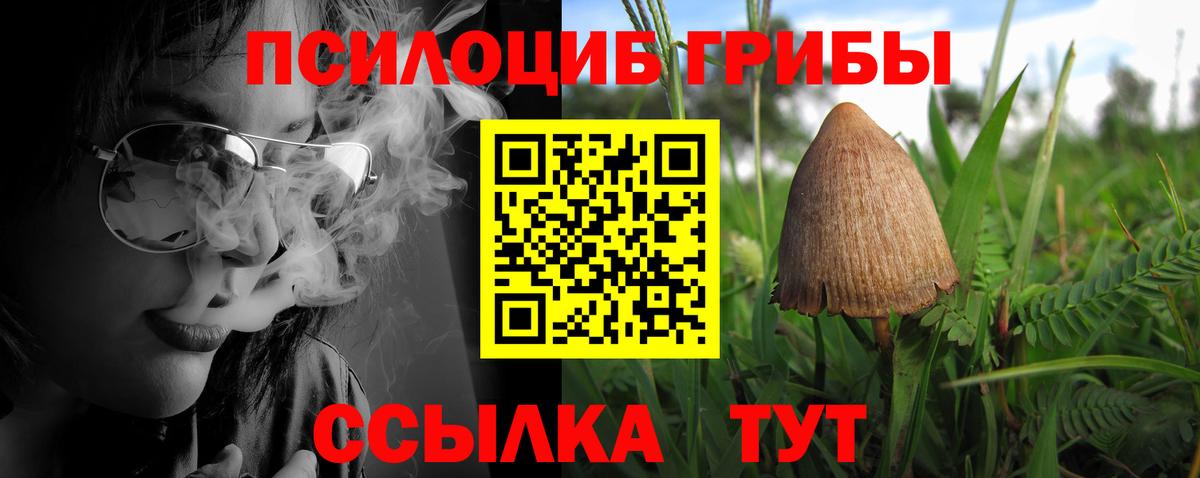 Галлюциногенные грибы GOLDEN TEACHER  Вход с VPN  Геленджик 
