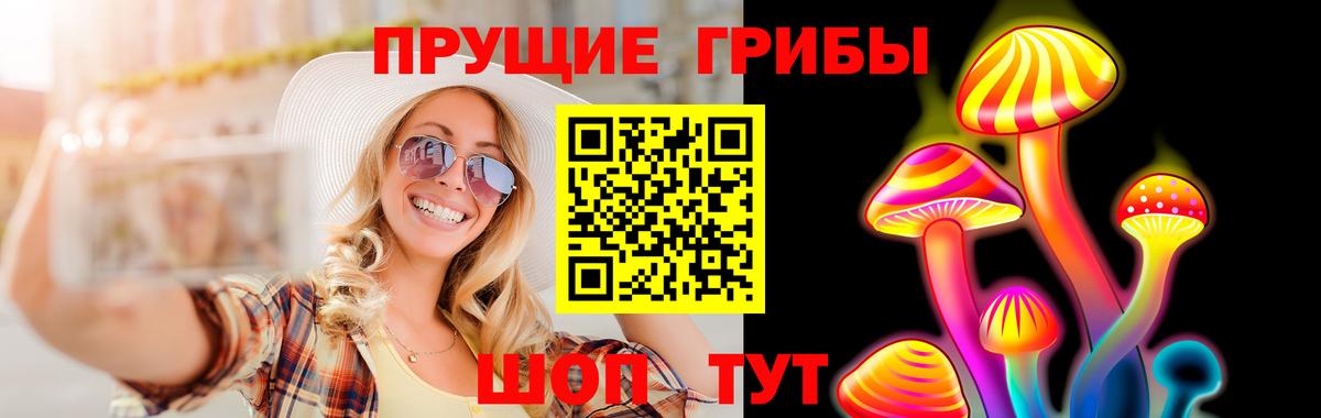 Галлюциногенные грибы прущие грибы Геленджик